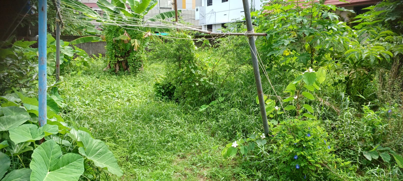 7 cents of Land