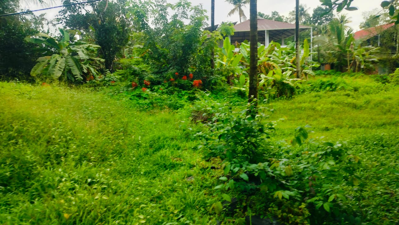 7 Cents of Land near Airport