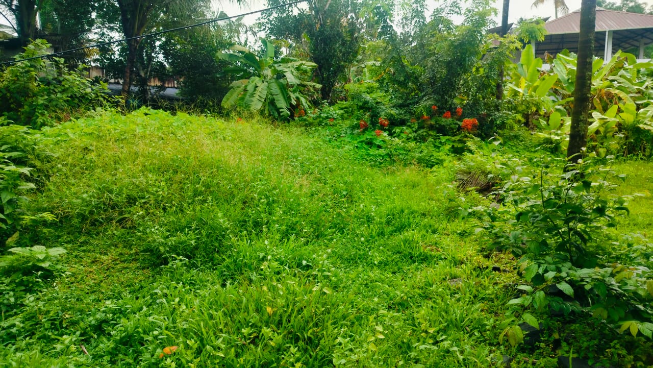 7 Cents of Land near Airport