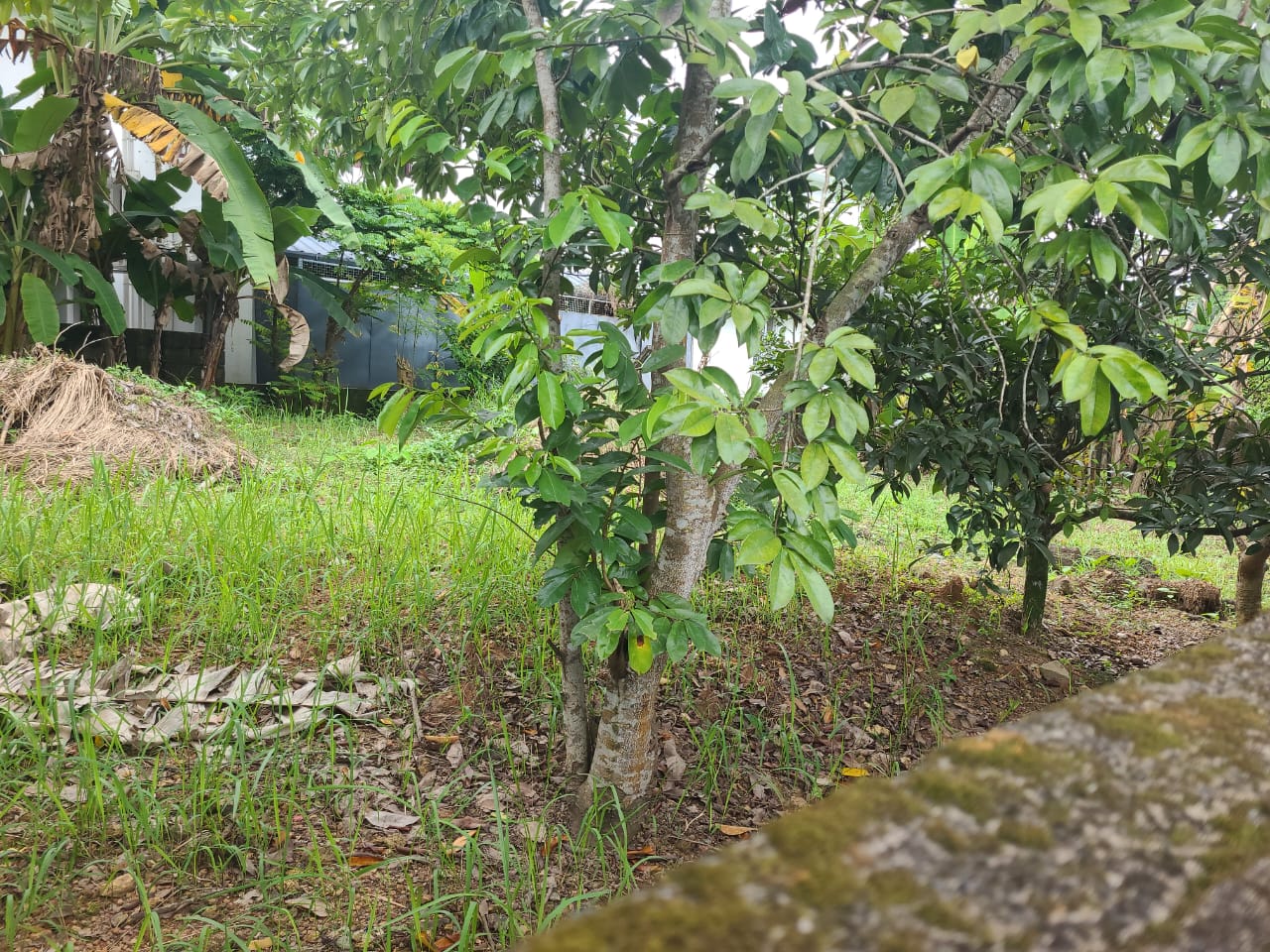 7 Cents of Residential Land