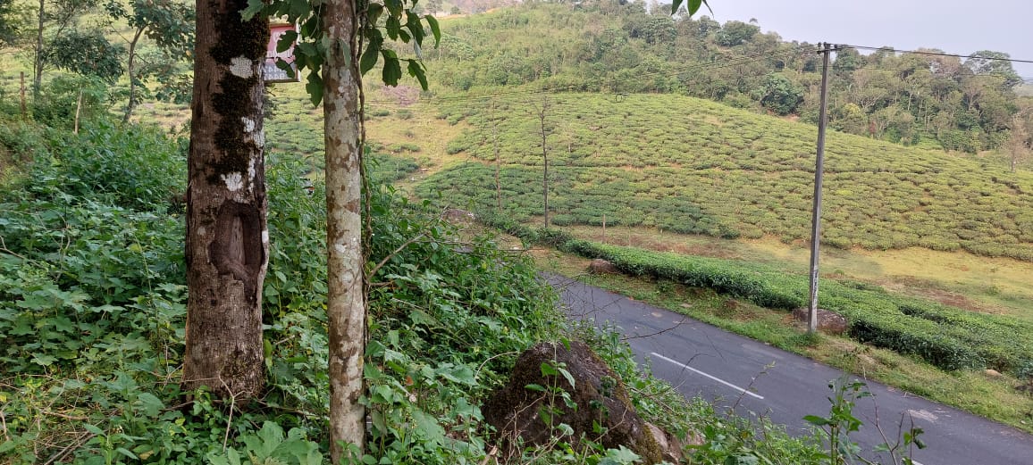 70Cents of Land - for sale in Vagamon Idukki, Idukki, Kerala