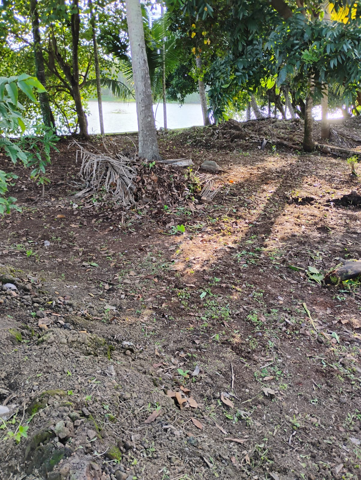 70cents of Land with 8BHK Old Heritage House in Chambakulam, Alapuzha