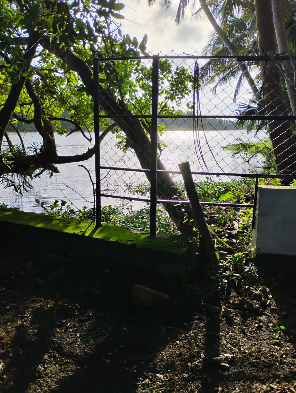 70cents of Land with 8BHK Old Heritage House