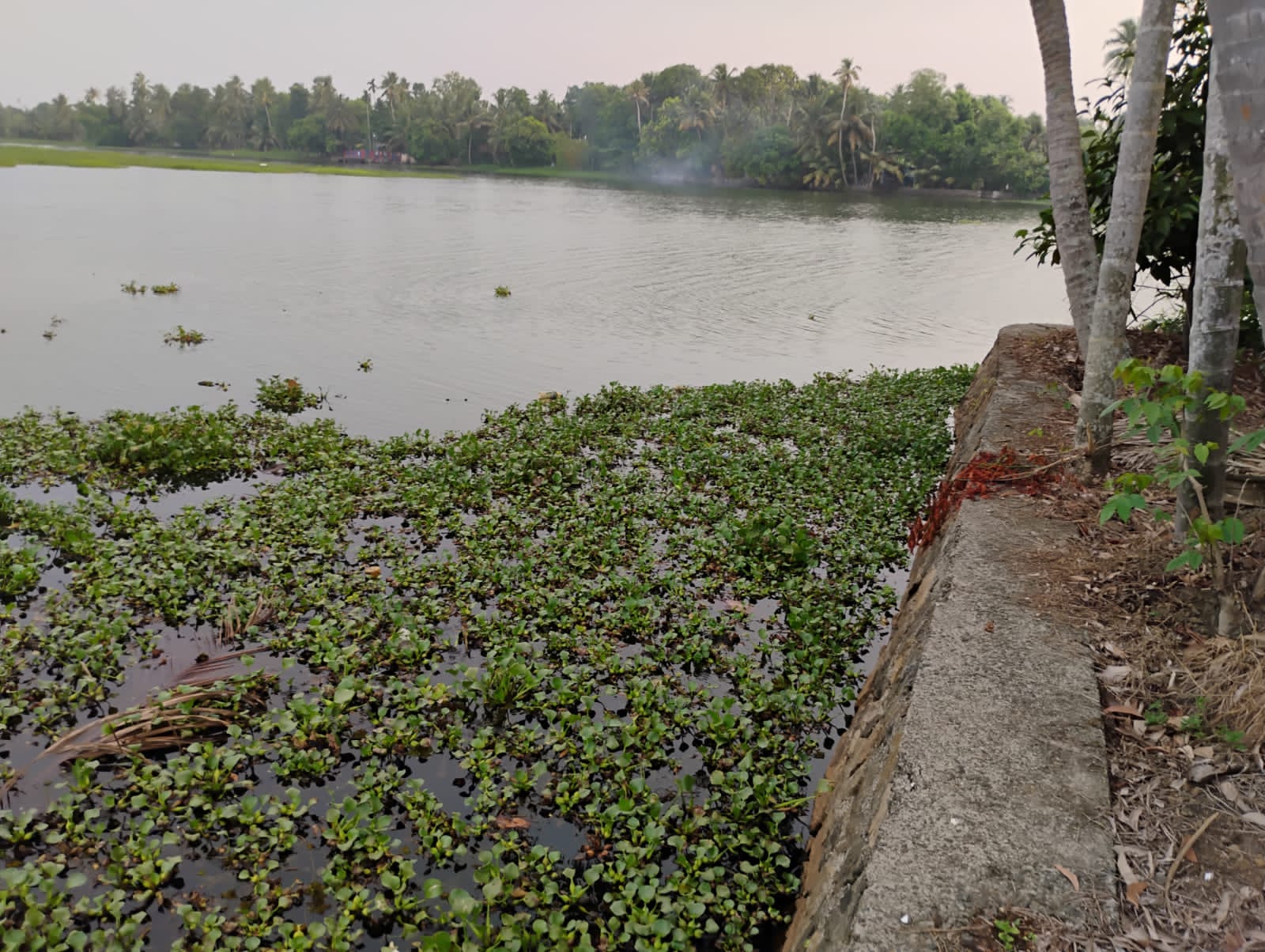 70cents of Land with 8BHK Old Heritage House