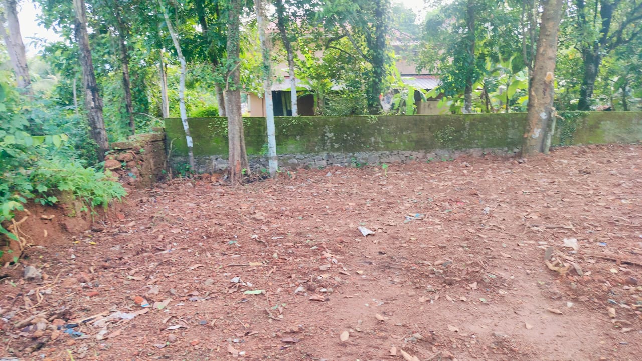 7Cents of Residential Land in Nedumbassery