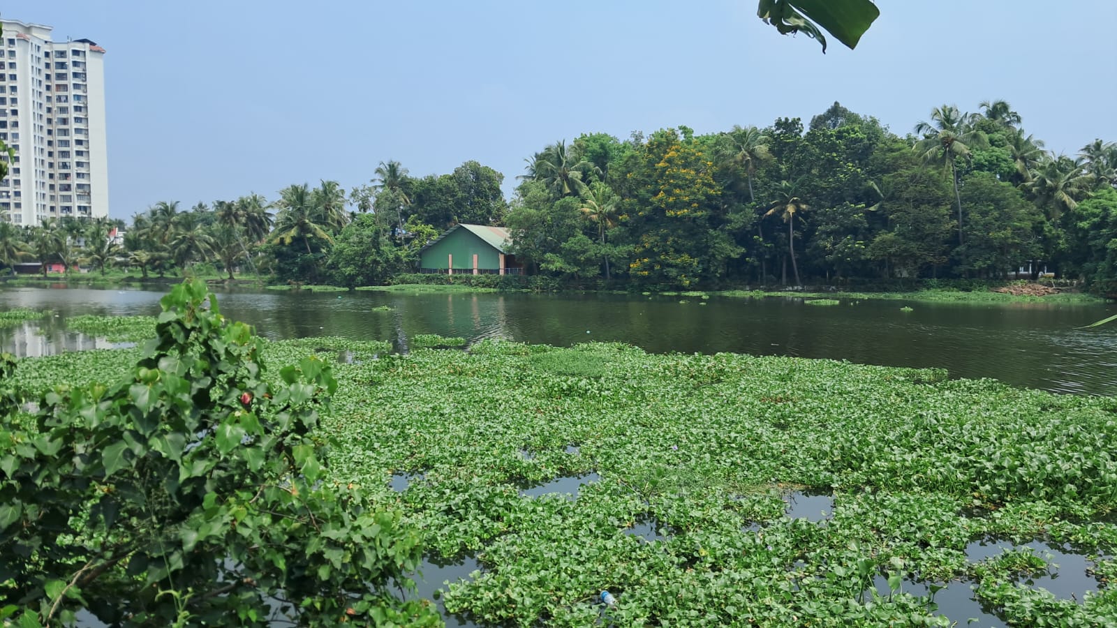 8.300 cents of Waterfront Land with Old House