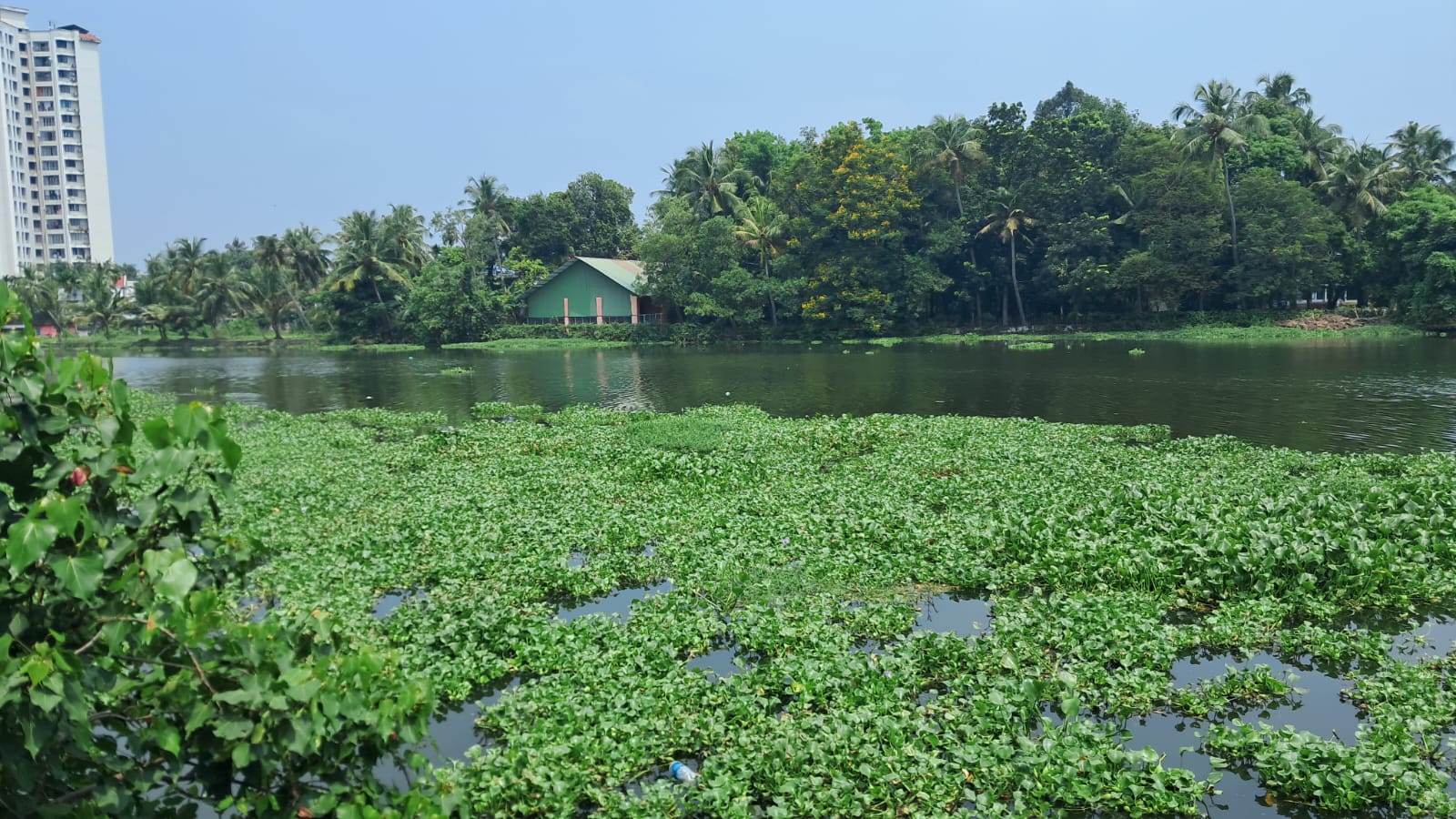 8.300 cents of Waterfront Land with Old House