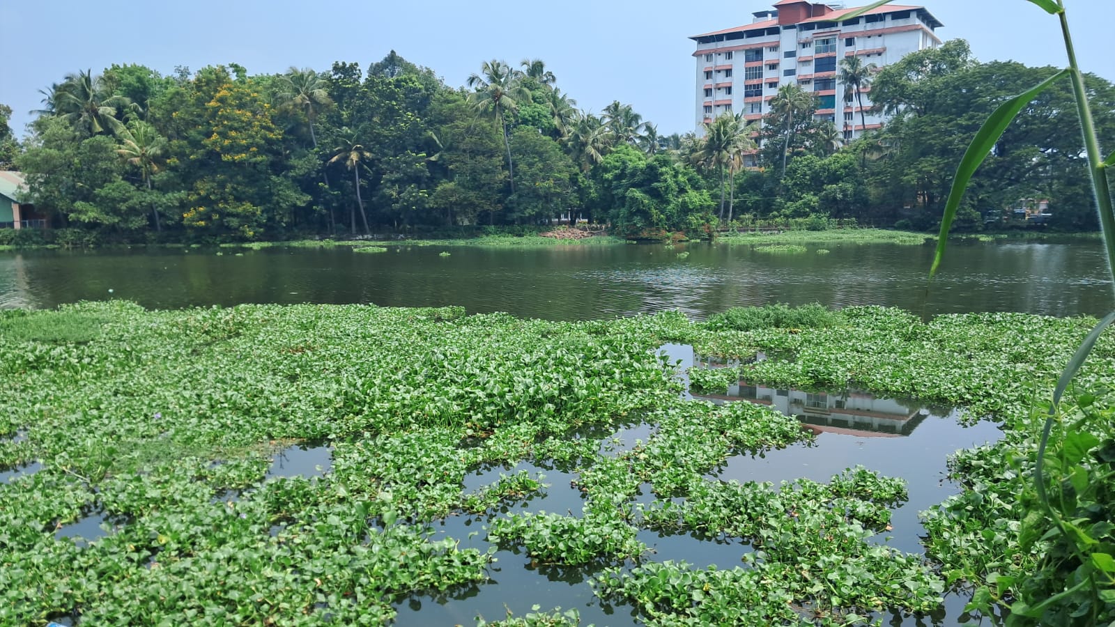 8.300 cents of Waterfront Land with Old House