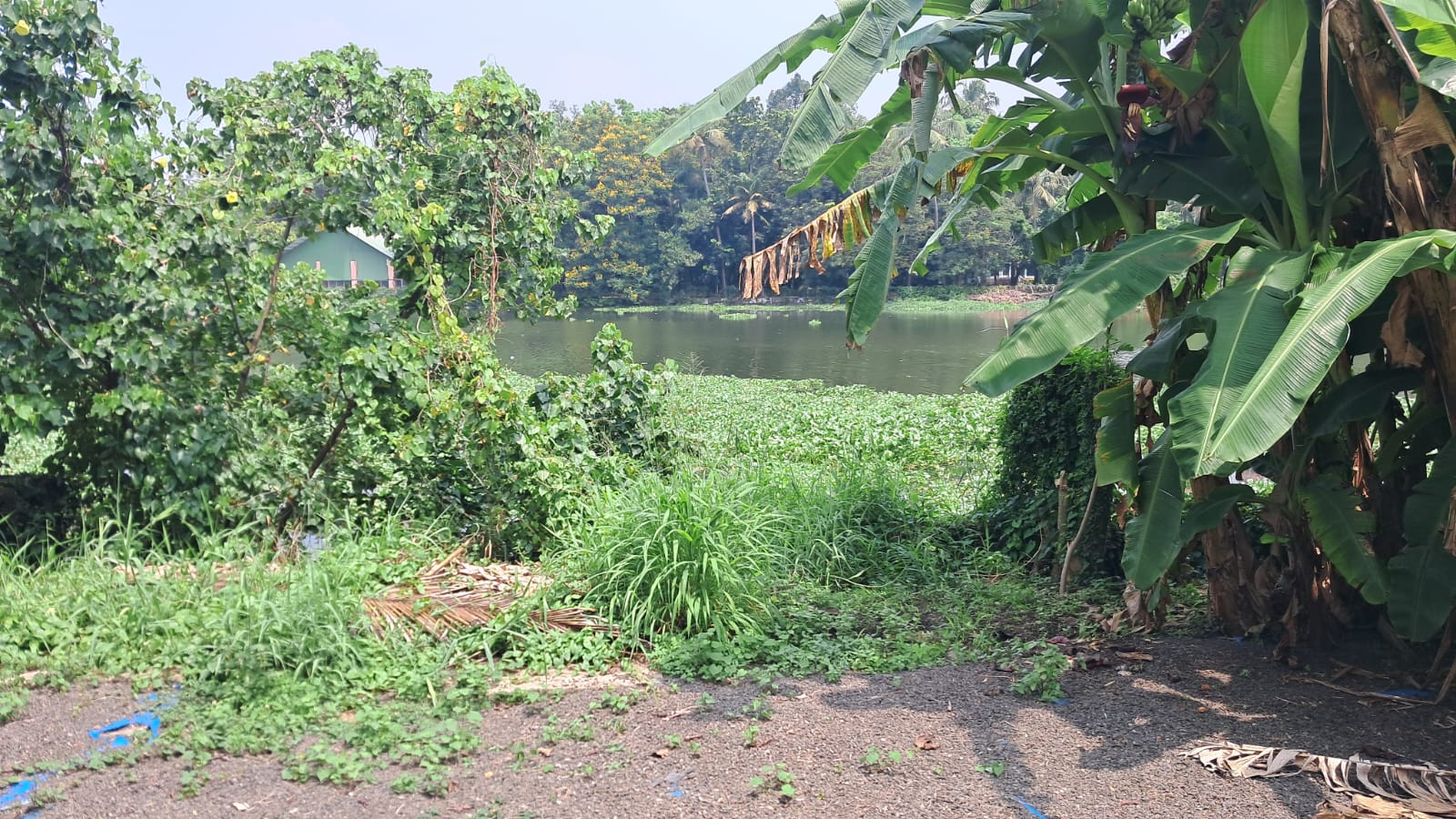 8.300 cents of Waterfront Land with Old House