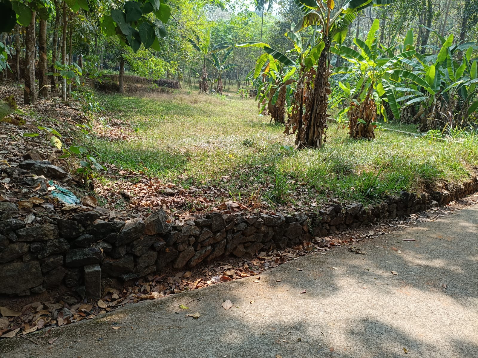 8.5 cents of Land - for sale in Pallikkara, Kochi ( Ernakulam ), Kerala