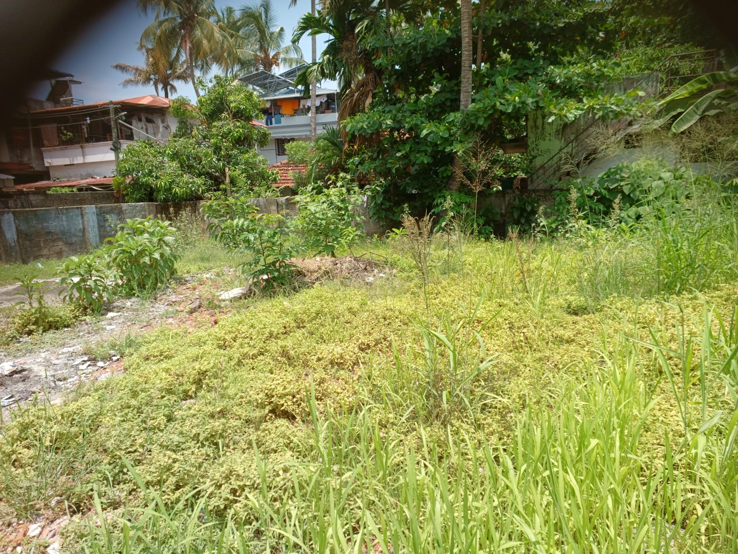 8.75 cents of Land - for sale in Petta, Kochi ( Ernakulam ), Kerala