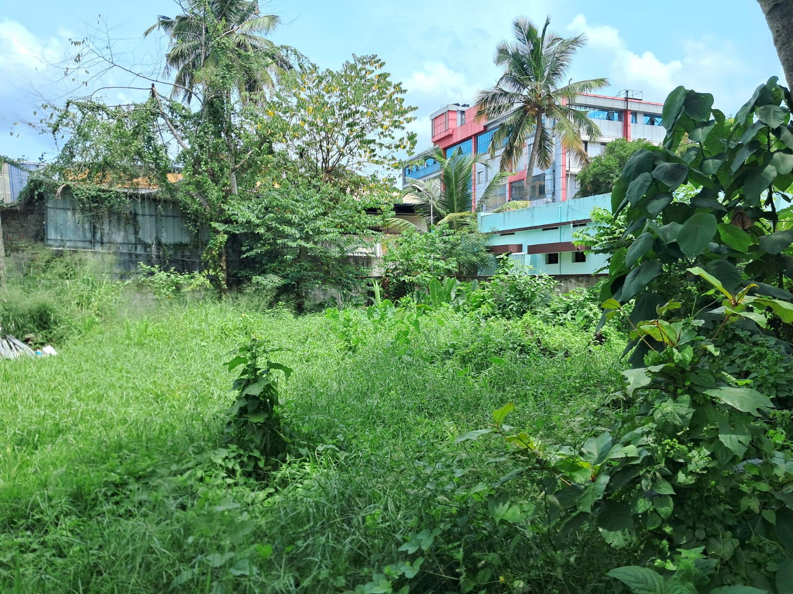 8.750cents of Land - for sale in Chalikkavattom, Kochi ( Ernakulam ), Kerala