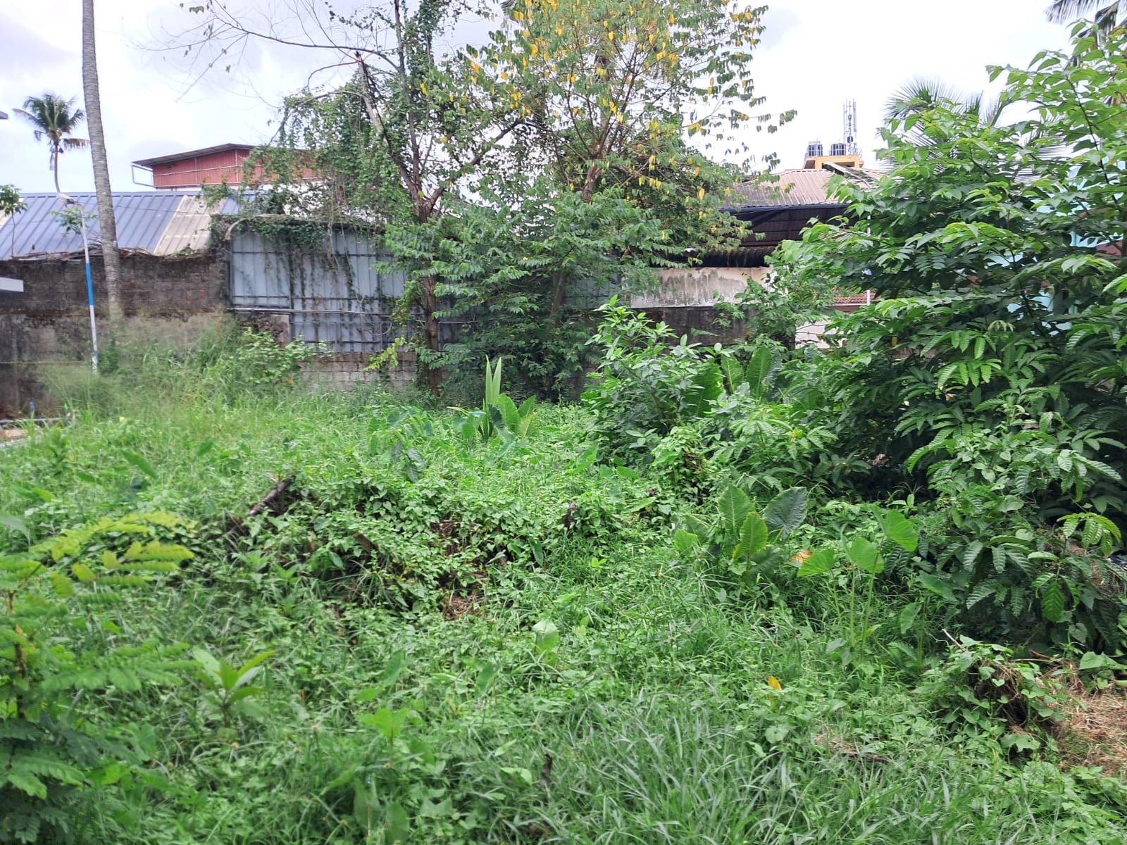 8.750cents of Land