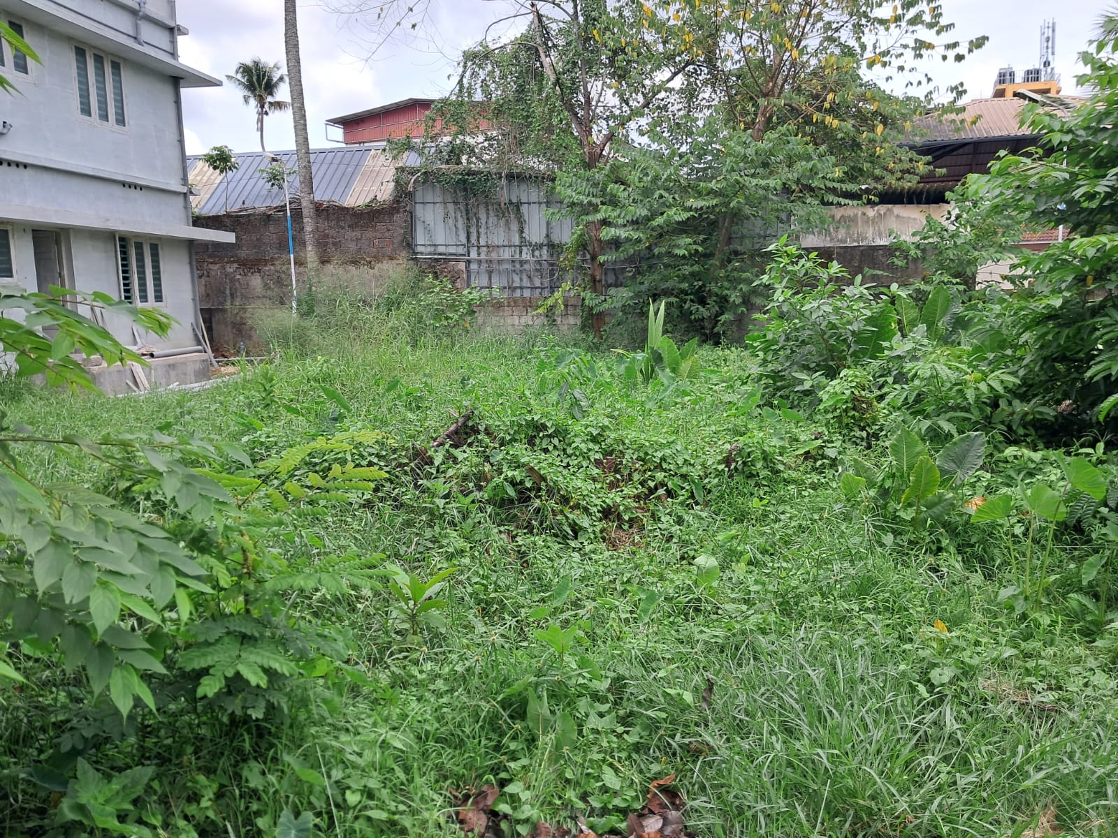 8.750cents of Land