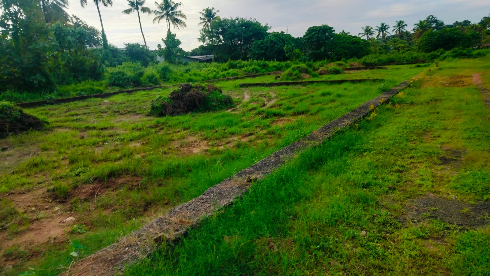 8 Cent of Residential Plot