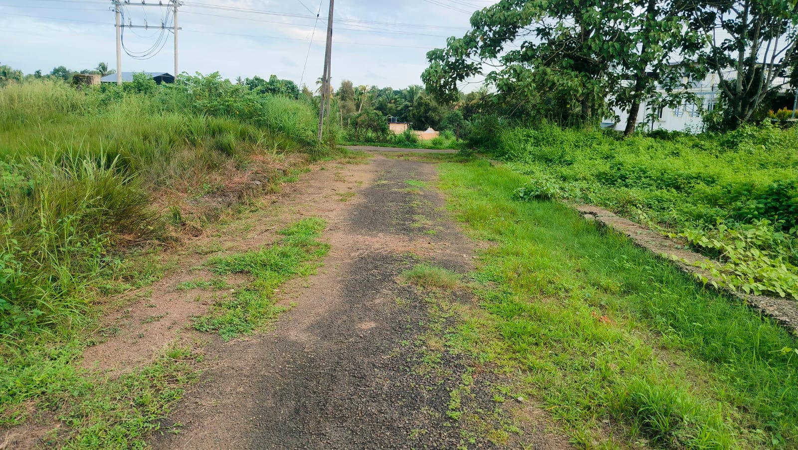 8 Cent of Residential Plot