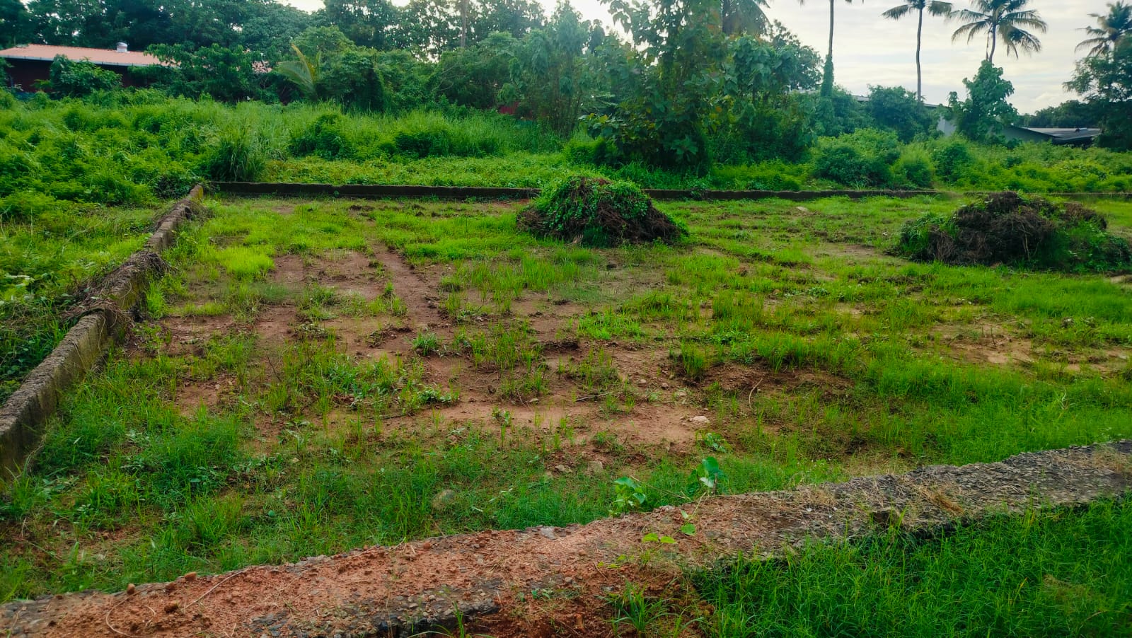 8 Cent of Residential Plot