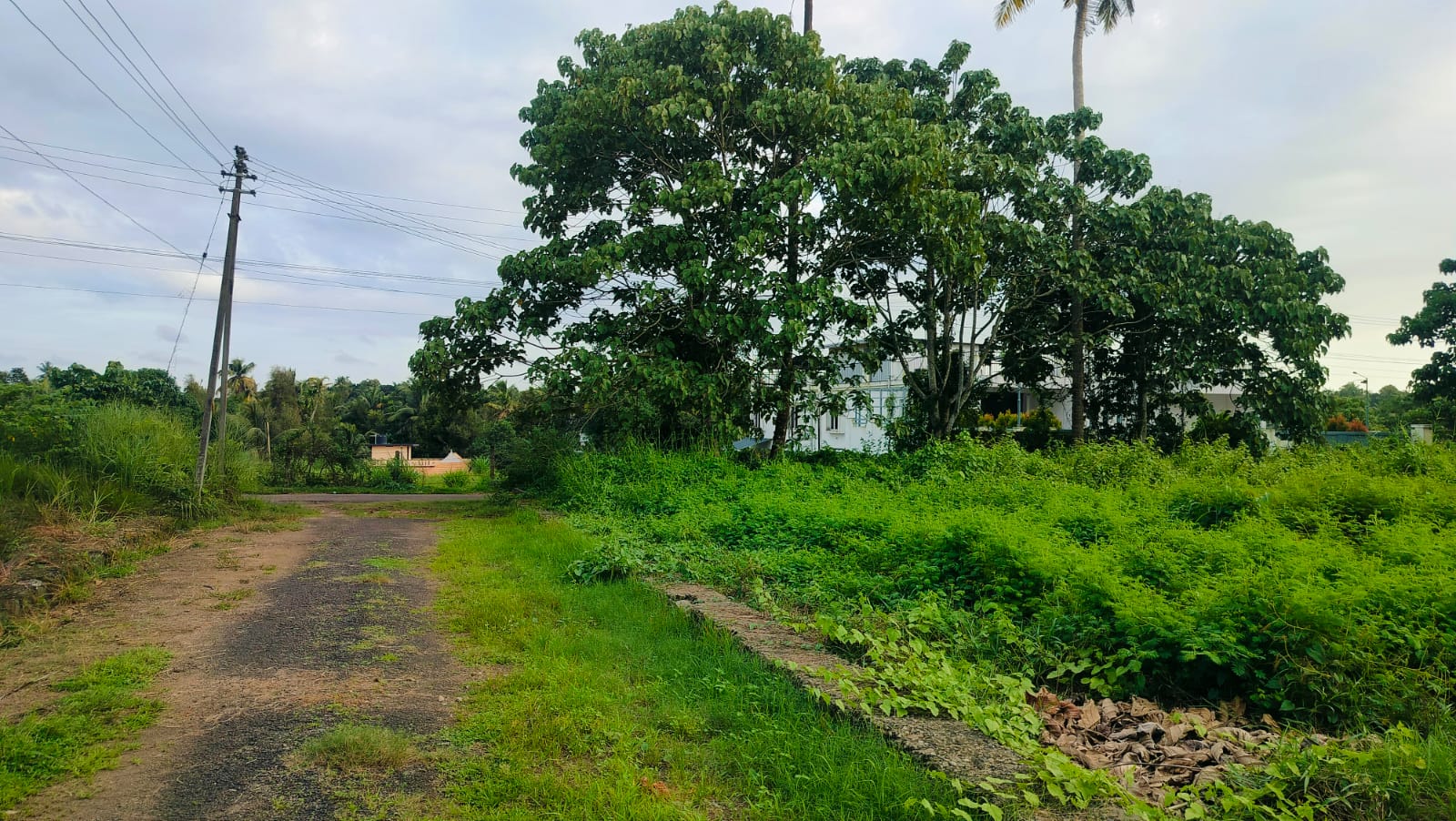 8 Cent of Residential Plot