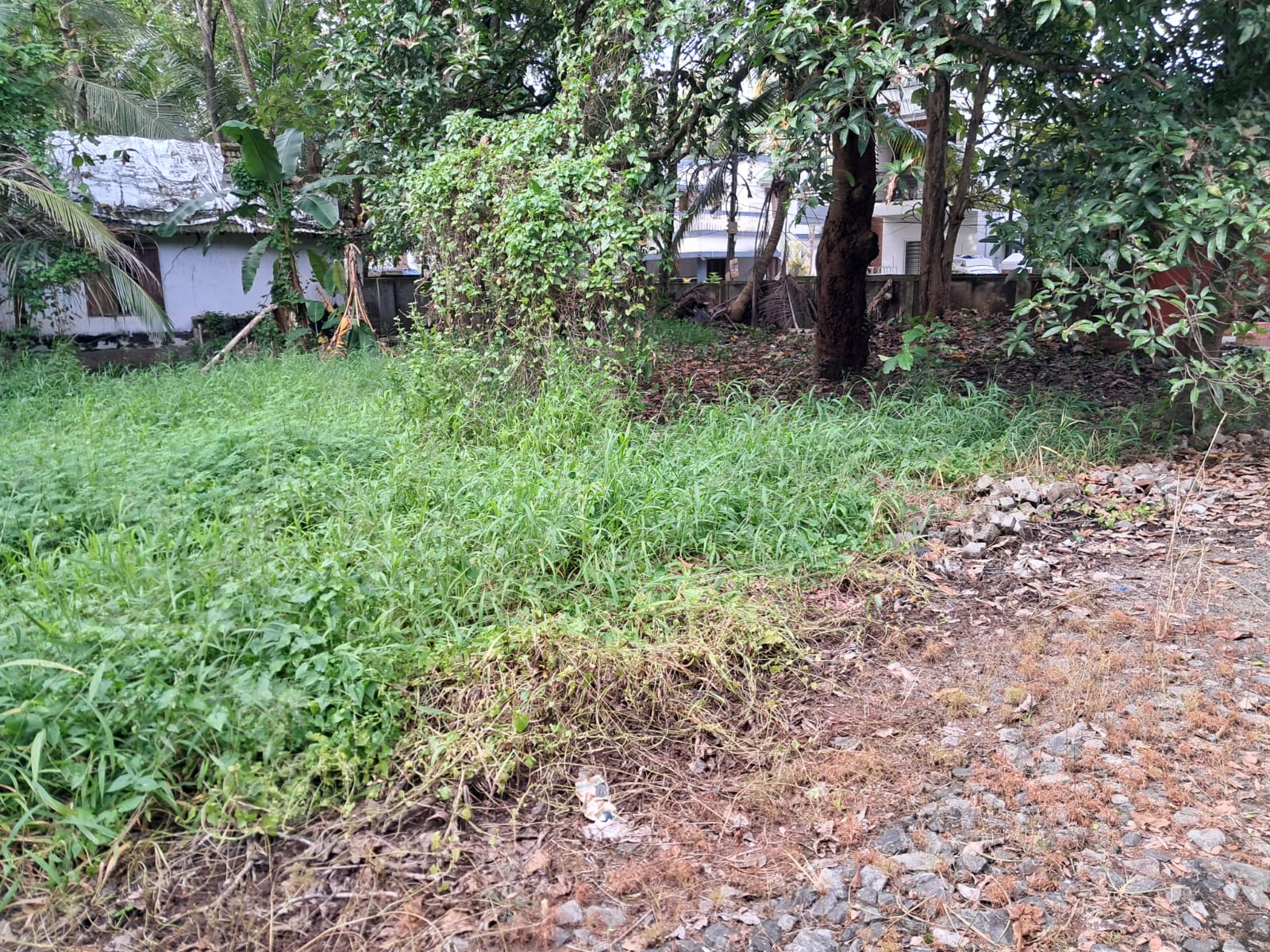 8 Cents of Commercial/Residential Property