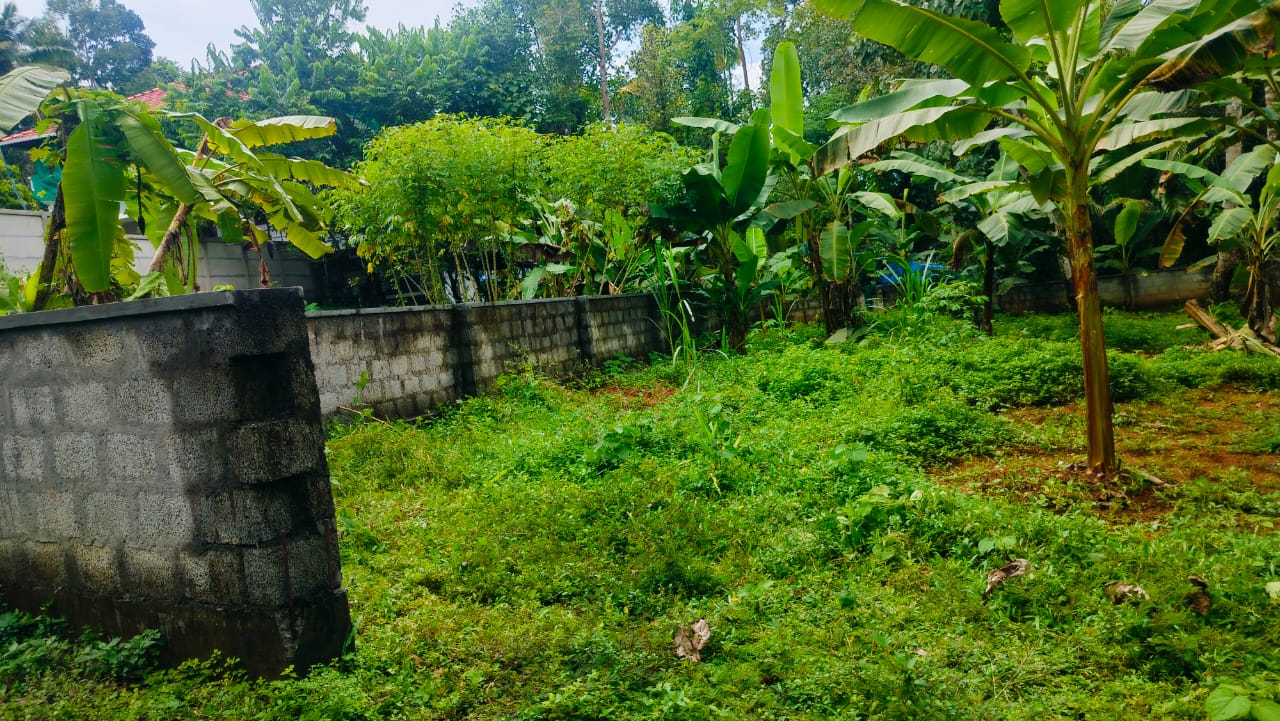 8 Cents of Land - for sale in angamally, Kochi, Kerala