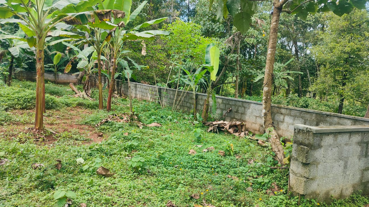 8 Cents of Land