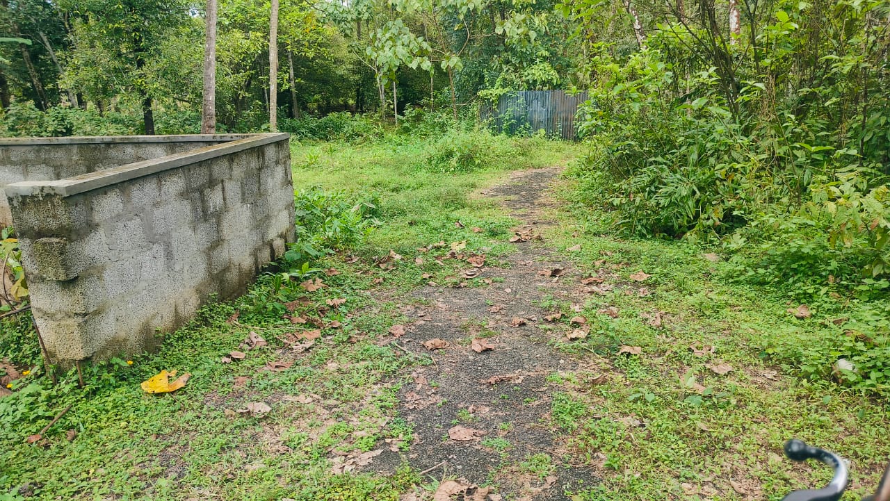 8 Cents of Land