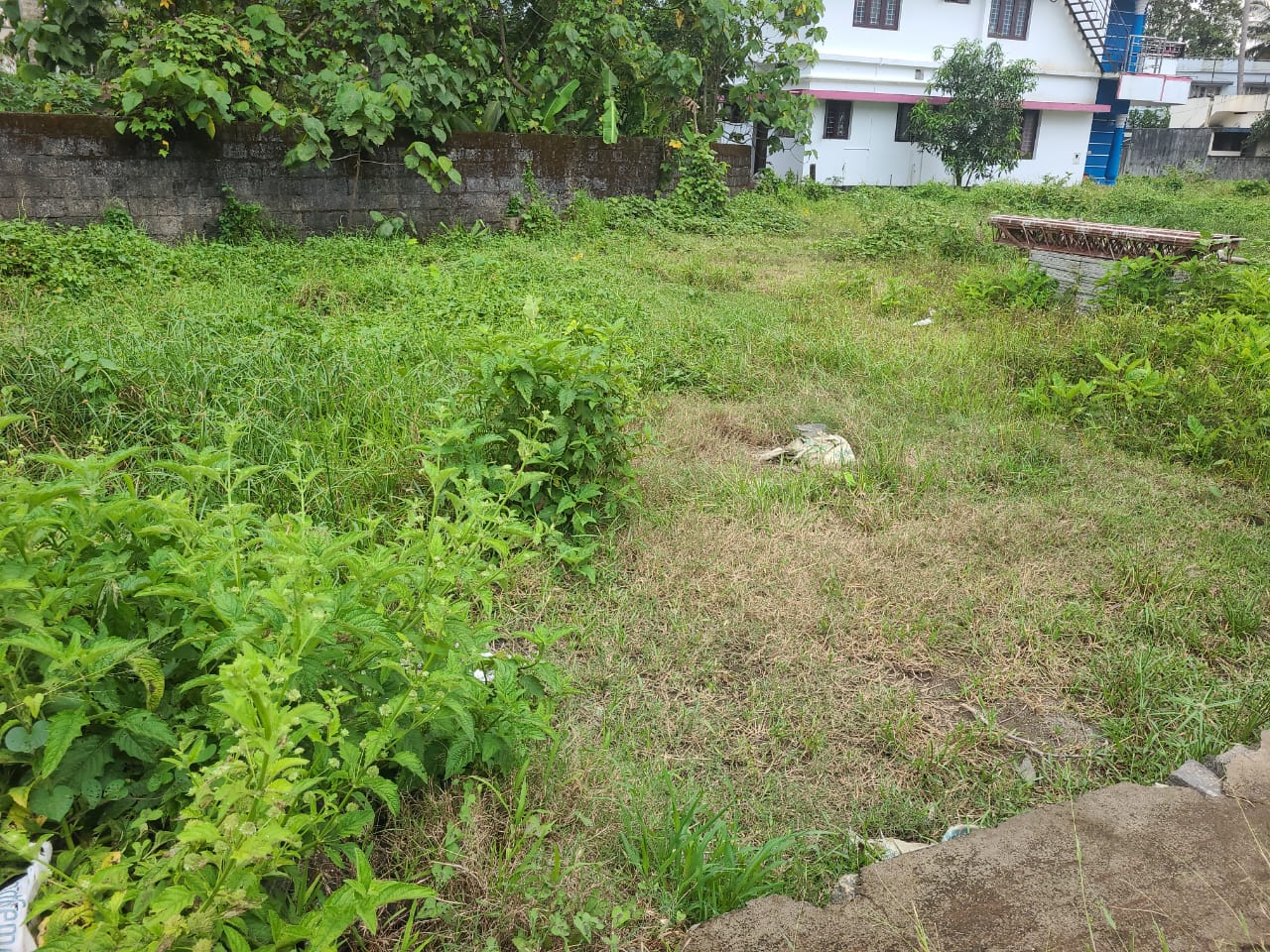 8 Cents of land - for sale in Eroor, Kochi, Kerala