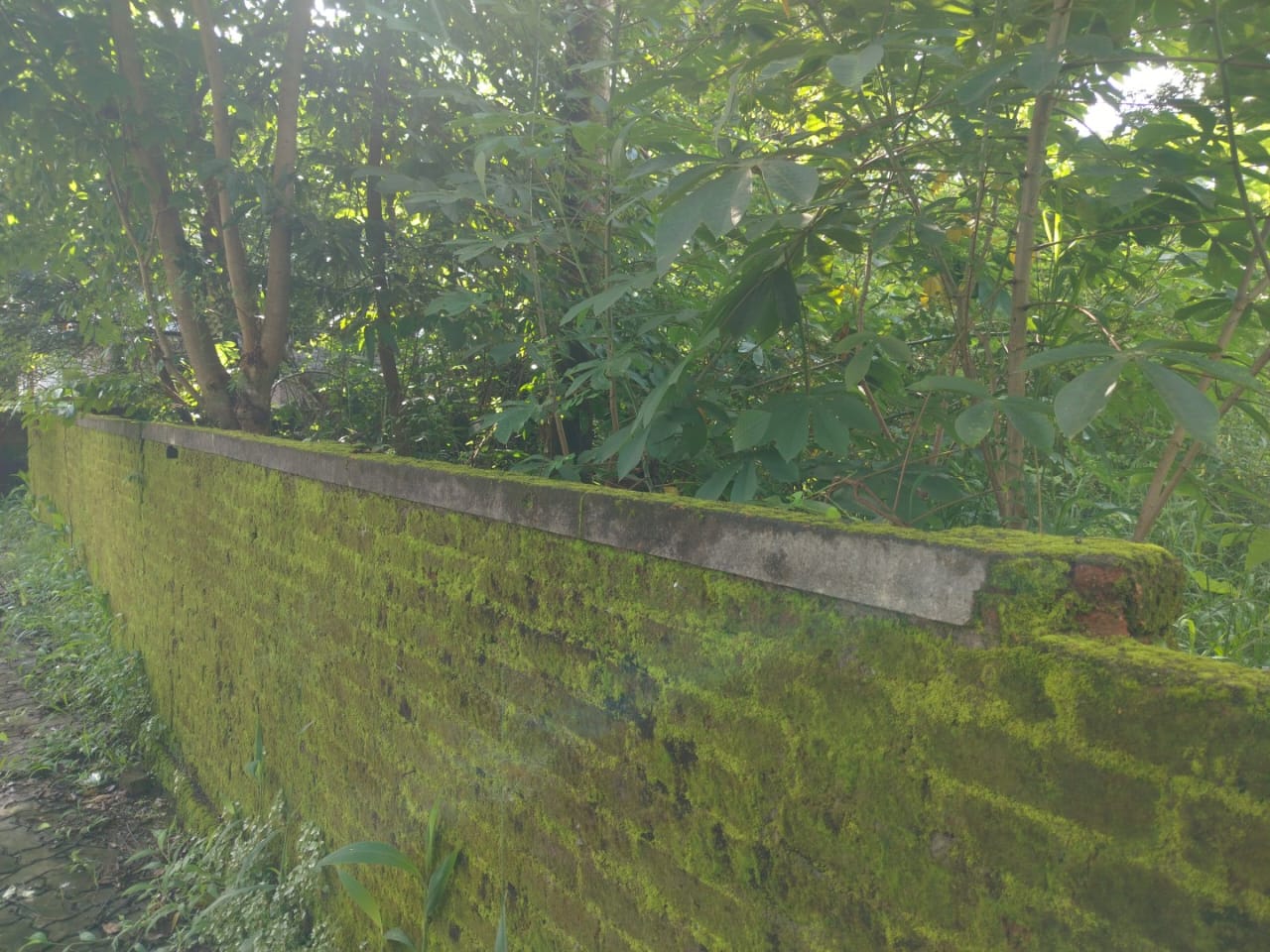 8 cents of Land - for sale in Athani, Kochi ( Ernakulam ), Kerala