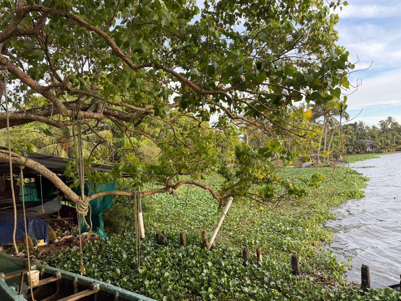 8 cents Of Land - for sale in Panangad, Kochi ( Ernakulam ), Kerala