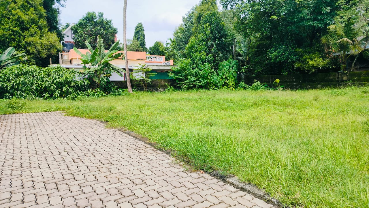 8 cents of Residential land
