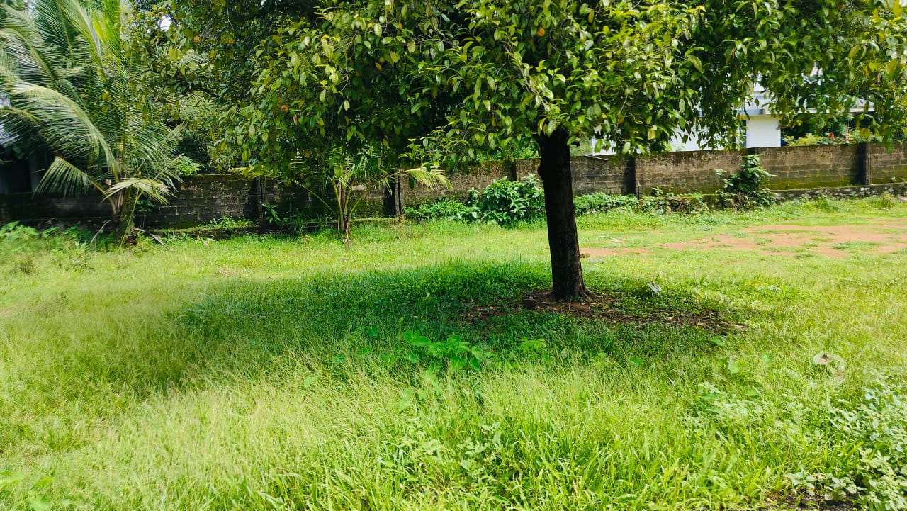 8 cents of Residential land