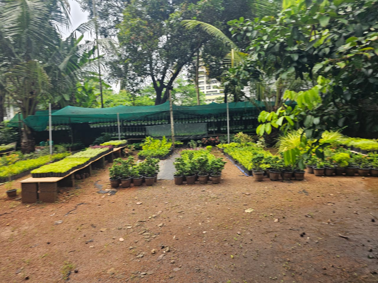 8Cent of residential land in Vennala