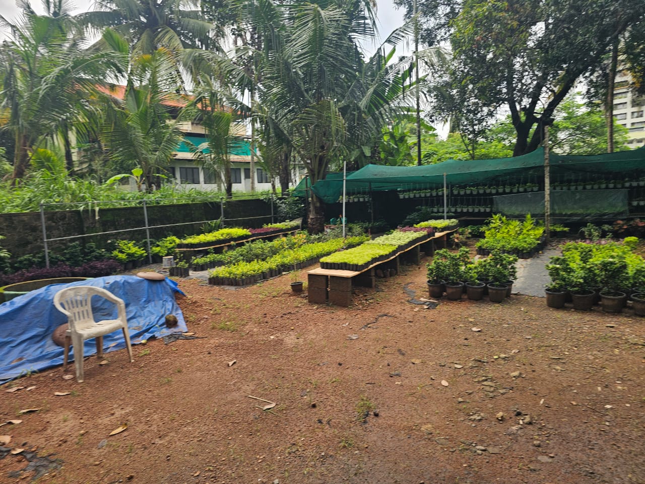 8cent of Residential Plolt in Vennala