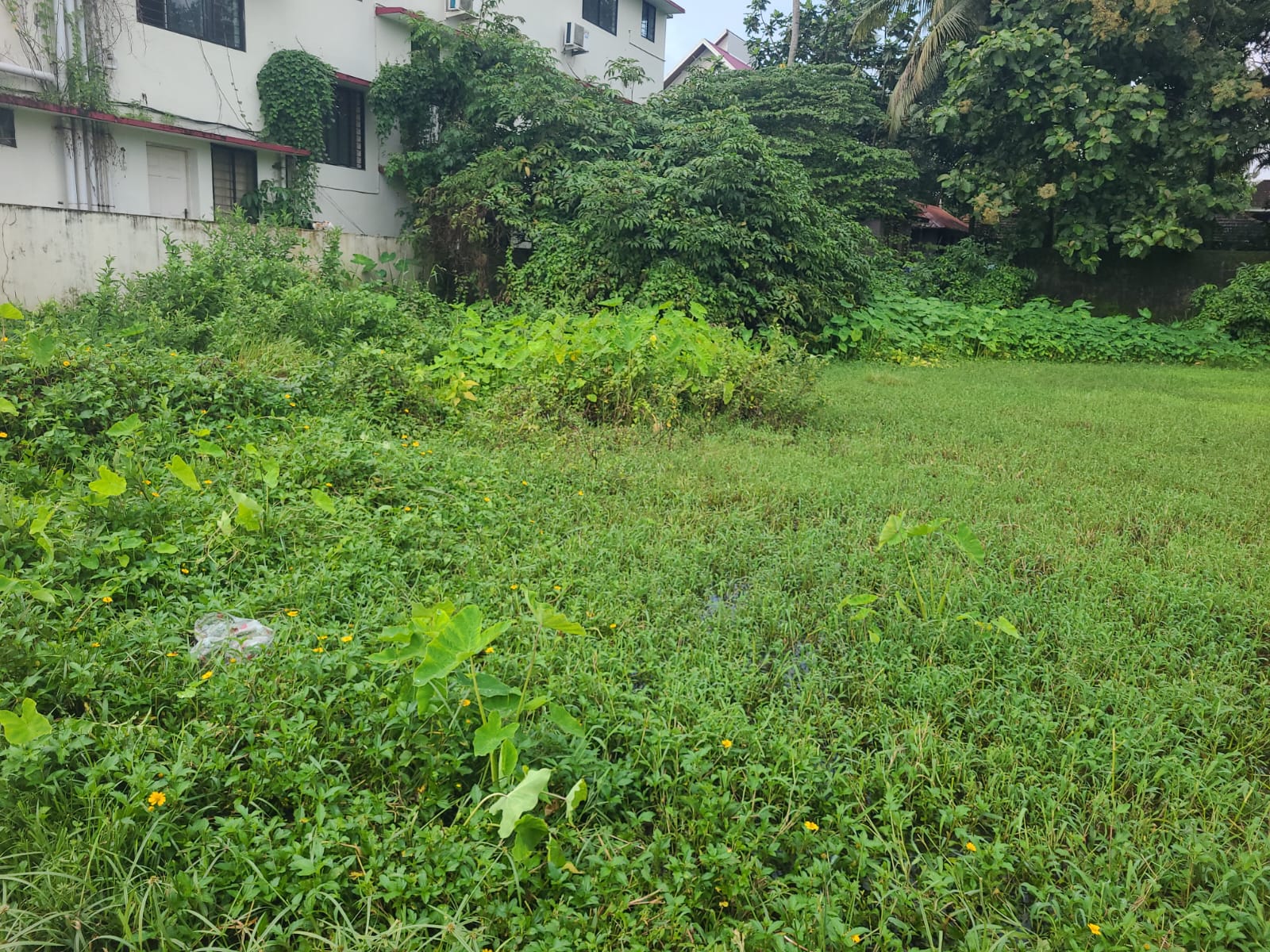 8cent of Residential Plot
