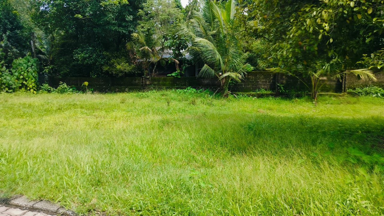 8Cents of Residential Land near Angamaly