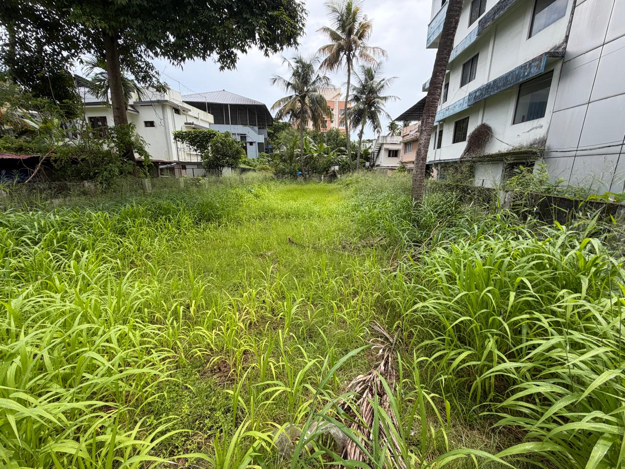 9.5 cents of Commercial Land
