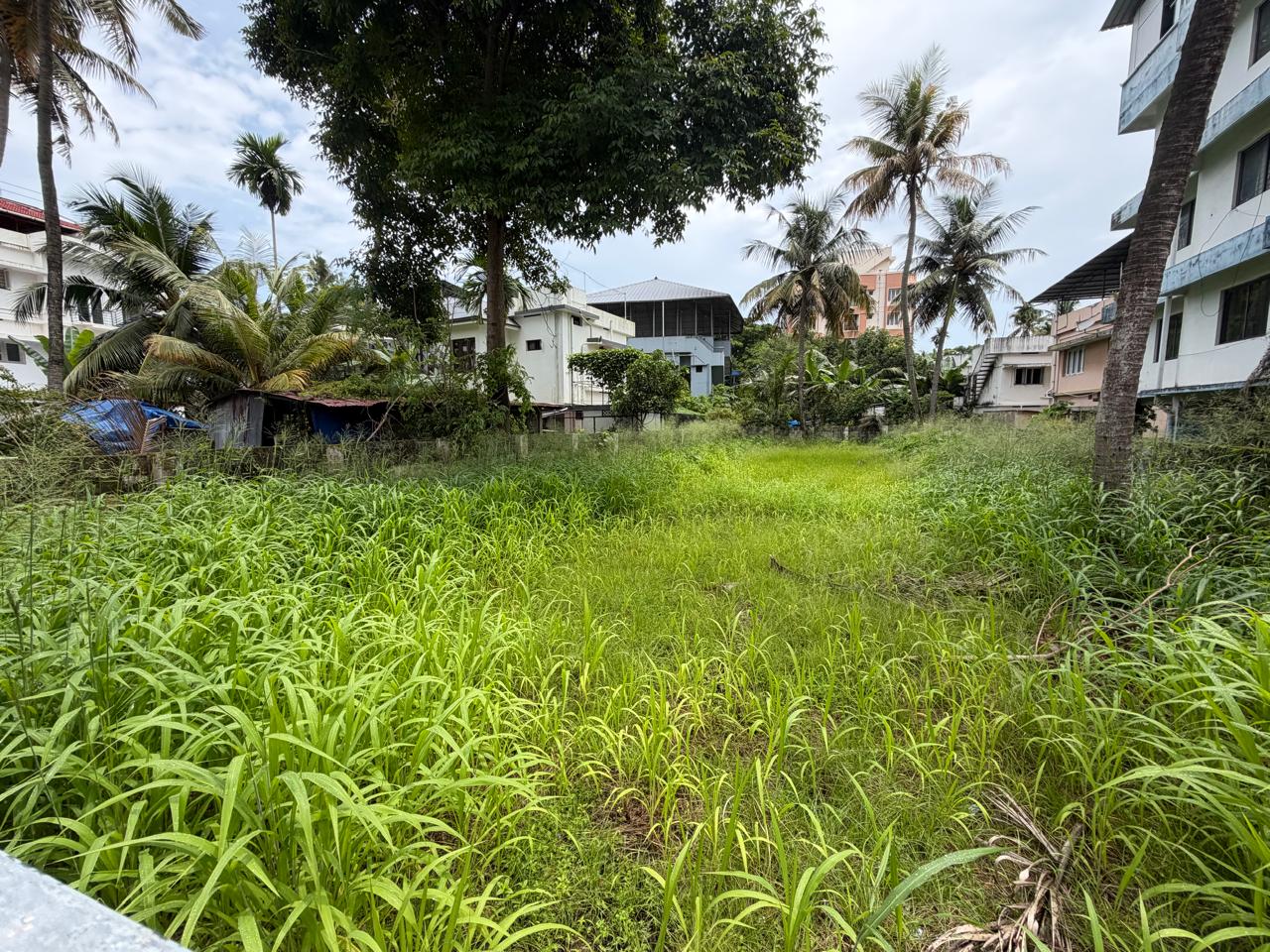 9.5 cents of Commercial Land