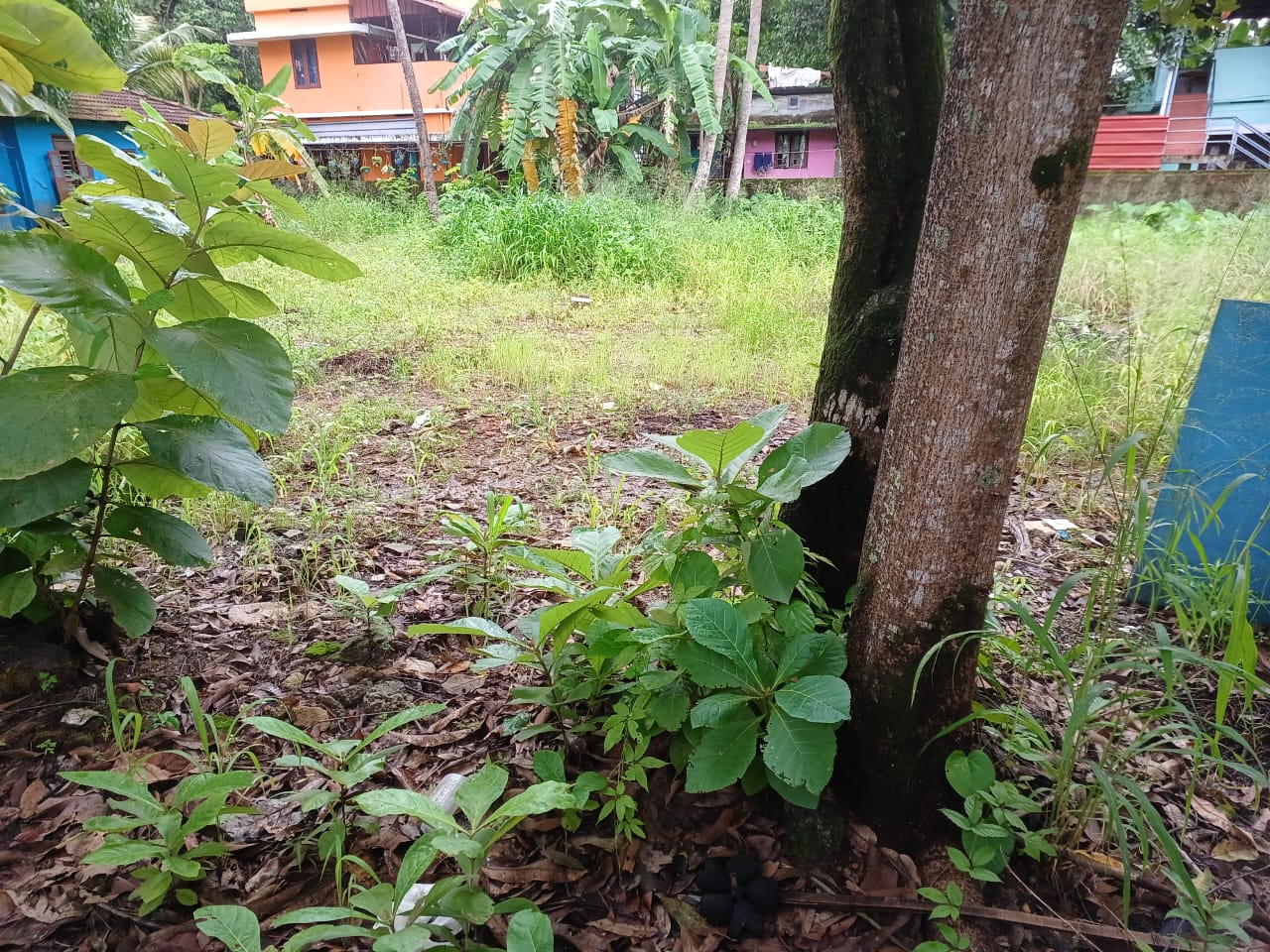 9.5 cents of Residential land in Maradu - for sale in Maradu, Kochi ( Ernakulam ), Kerala