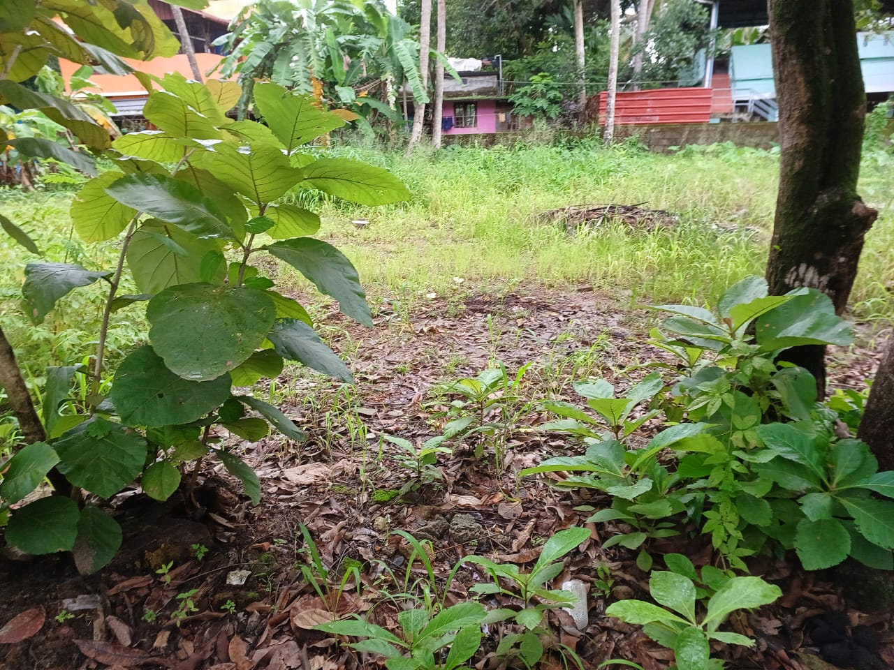 9.5 cents of Residential land in Maradu