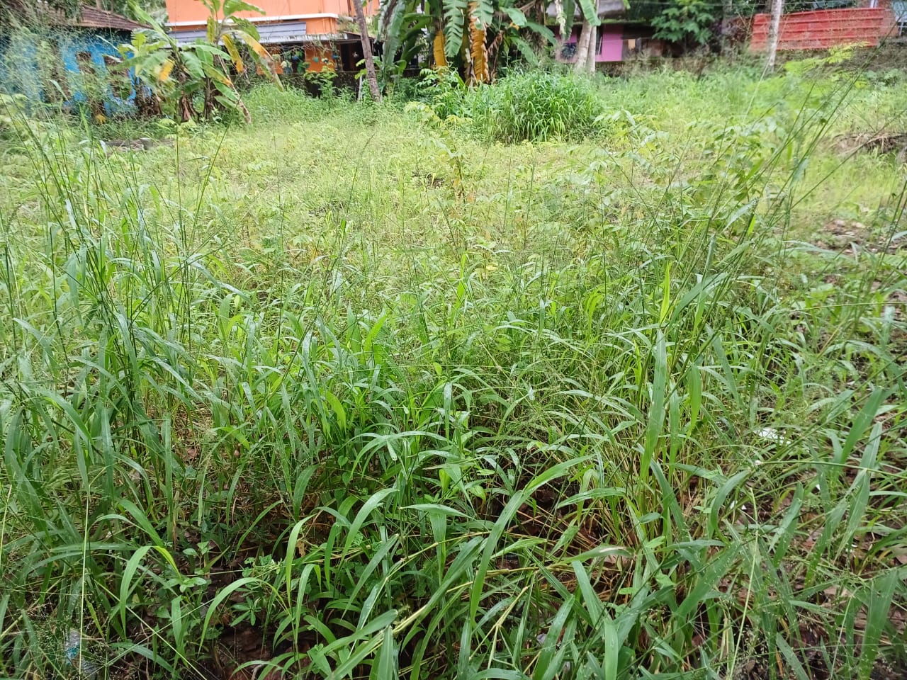 9.5 cents of Residential land in Maradu