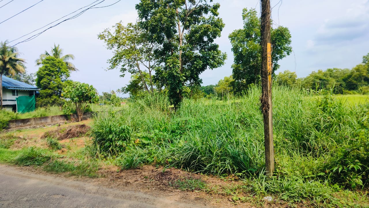 9 Cents of Land - for sale in nedumbassery, Kochi, Kerala