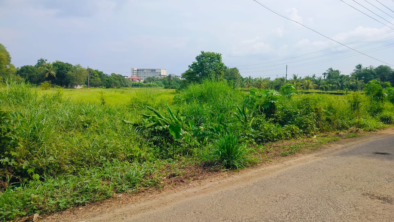9 Cents of Land
