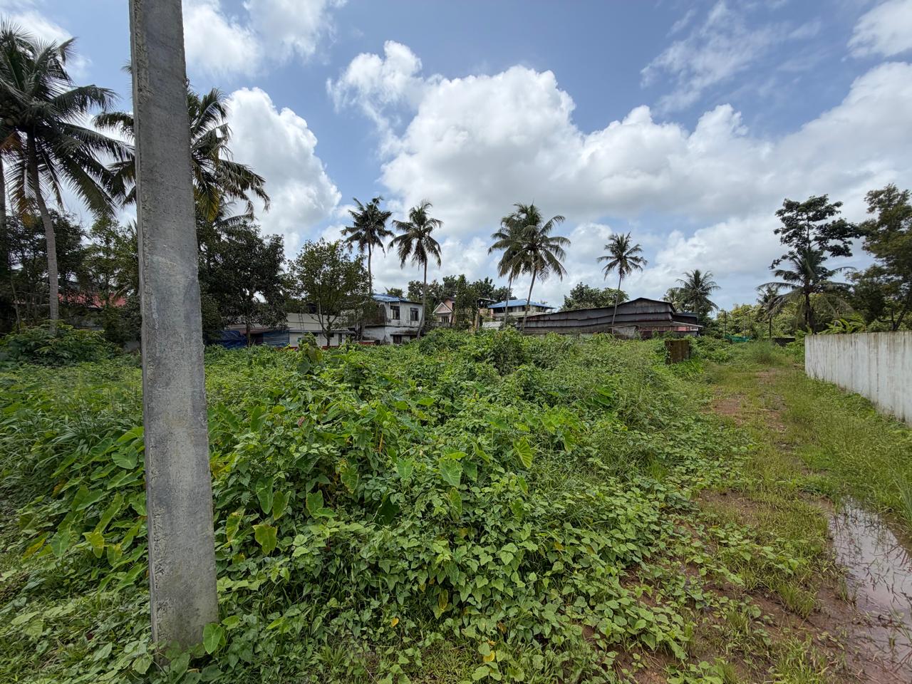 9 cents of Land - for sale in Kundanoor, Kochi ( Ernakulam ), Kerala