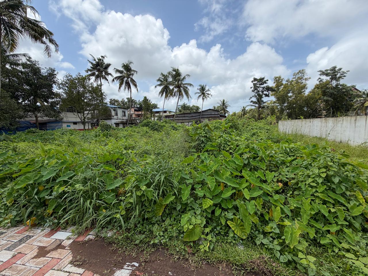 9 cents of Land