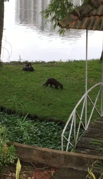 90 Cent of Land with old House in Gated Villa