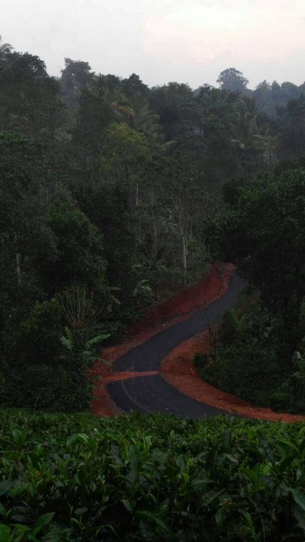 13Acres of land