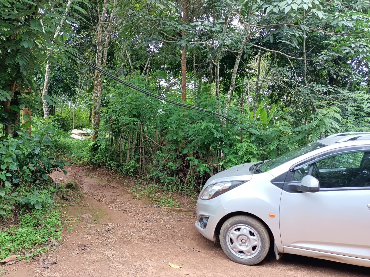175 cents of Land with old house in Piravom