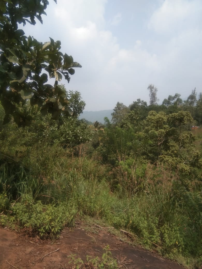 6 ACres of Land with an Old House - for sale in Vellathooval, Idukki, Kerala