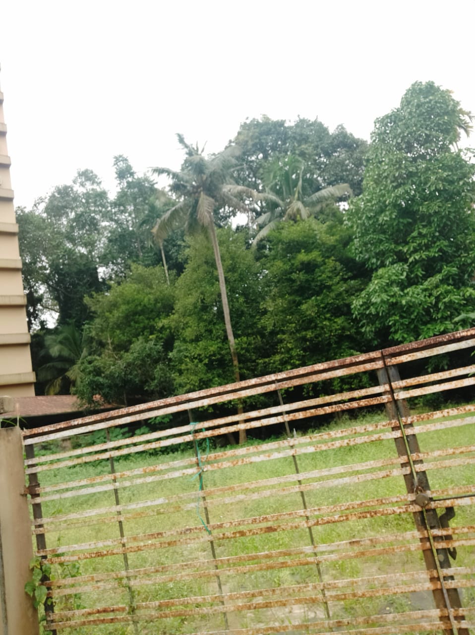 15 Cents of Land - for sale in Desom, Kochi ( Ernakulam ), Kerala