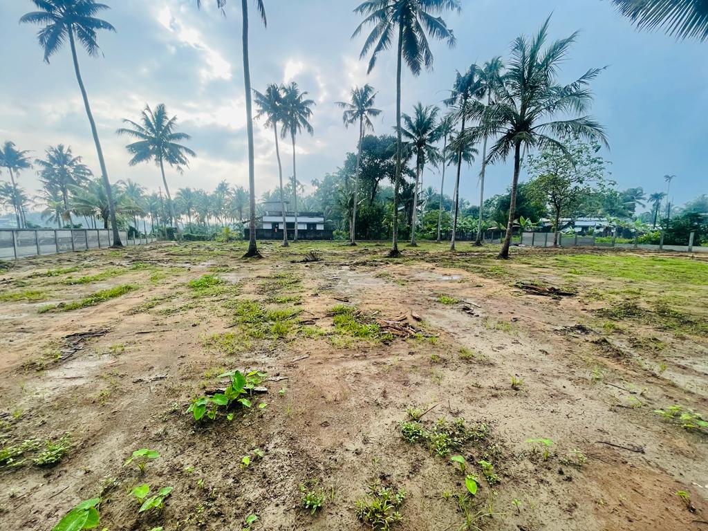 3BHK Semifurnished House 1500 sqft in Koonammavu, Varapuzha